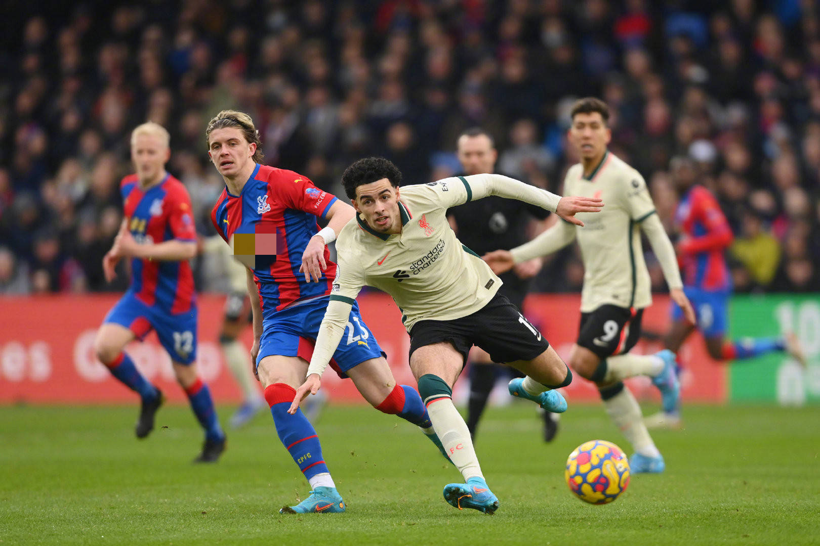 的小将支付 的小将支付